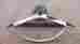 3166991-2 3166991 Oem Genuine Power Steering Wheel American Motors 1963 1964 Amc