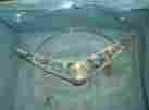 76227 Chevy 59 60 61 Impala Horn Ring