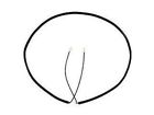 C9az-13875 Daniel Carpenter Mustang Spoke Steering Wheel Rim Horn Blow Switch