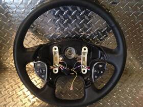 14-15941-001 Freightliner Cascadia Steering Wheel And Hubs 682-10046