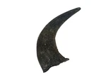 One Large #1 Grade Real North American Buffalo Horn (576-LM1-AS) 9UL2. Fixed Price $57.49.