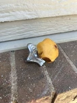 Vintage Sinko Butterscotch Bakelite Steering Wheel Spinner Suicide Knob Rat Rod. Fixed Price $65.00.