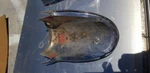 1963 Mercury Meteor Rear Tail Light Molding Bezel Lower Lh. Used Ad# 9931. Fixed Price $30.00.