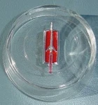 1964 1965 1966 Olds Cutlass F85 442 Nos Horn Cap Gm Original. Fixed Price $49.99.
