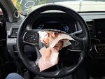 2020 Pilot Steering Wheel SKU#4412997. Fixed Price $80.75.