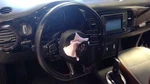 2017 Volkswagen Beetle Hatch Steering Wheel Audio Cruise Phone Buttons 86401. Fixed Price $294.00.