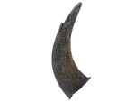 One #3 Grade Real North American Buffalo Horn (576-M3-AS) Y1F. Fixed Price $28.40.