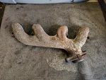 1964 1965 Buick Skylark Special Lesabre 300 Lh Side Exhaust Manifold 1359689. Fixed Price $125.00.