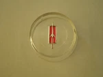 Nos Oem Oldsmobile 1964 1965 1966 Cutlass Steering Wheel Emblem Button 442 F85. Fixed Price $79.00.