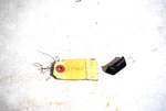 Nos Mopar 1970 71 Plymouth Cuda Dodge Challenger Steering Wheel Wire Cover. Fixed Price $39.95.
