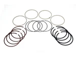 Piston Ring 15GDHYT58 Ford Escape Fiesta Transit Connect 2014 2015 2016. Fixed Price $48.09.