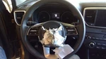 Sportage 2020 Steering Wheel 9151075. Fixed Price $144.00.